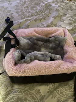 Dog car seat  up to 12 pounds