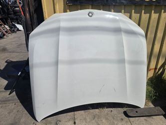 2019-2025 BMW X5 HOOD