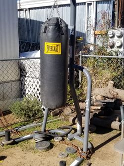 Everlast Punching Back With Stand