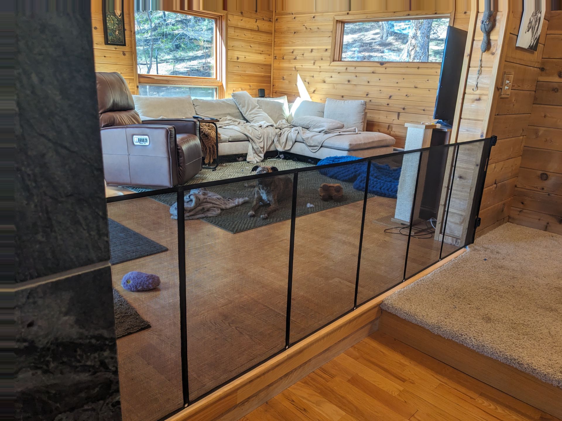 Locking Black Retractable Gate