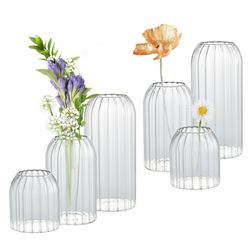 Brand New Vases In Bulk Set Of 6, Glass Small Vases For Flowers, Modern Cylinder Ribbed Vases For Wedding Centerpiece, Living Room Decorative, Home De