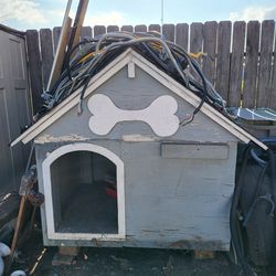 Dog House 