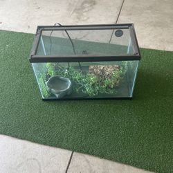 Reptile Tank 