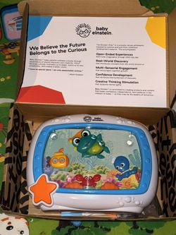 Baby Einstein Light Up Toy