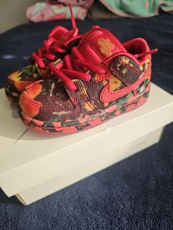 Brand New Wizard Of Oz Shoes