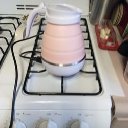 Electric Water Kettle