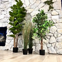 🌿 Set of 4 Beautiful Decorative Indoor Plants – Great for Home or Office! – $95 (Set Only)