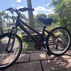 Provence 1.0 Realm  Cycle Bicycle 