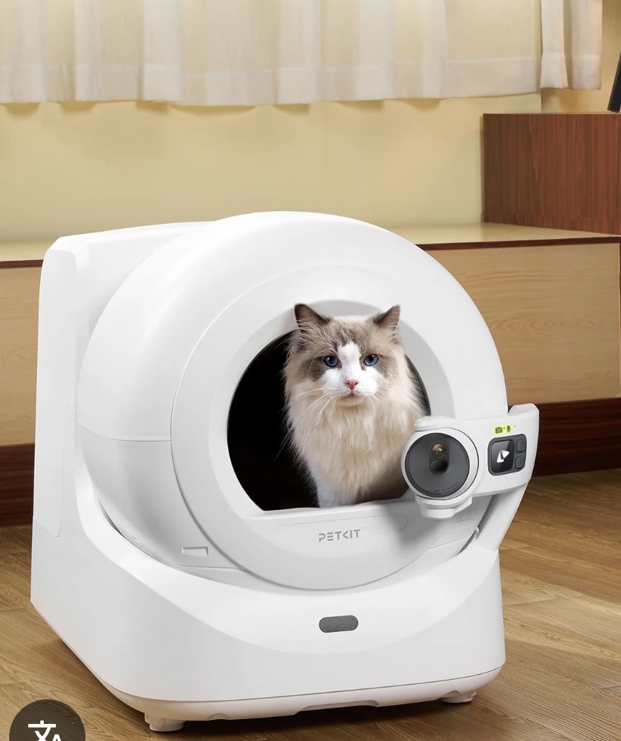 Cat box