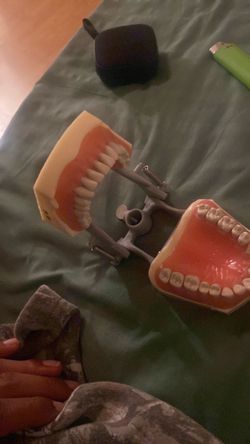 Teeth for dental practice comes with screw driver tools for the practice