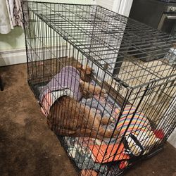 DOG CRATE