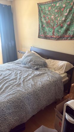 Free queen bed