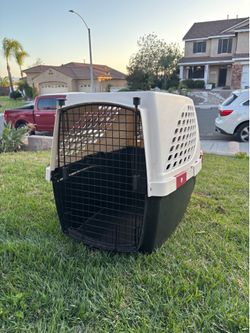 Dog Cage