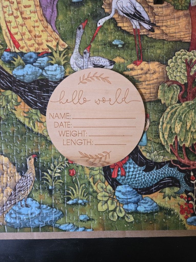 Hello World Infant Plaque