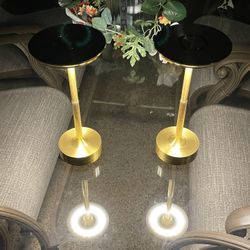 Twin LED lamps