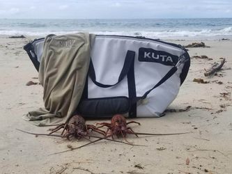 KUTA Coolers Insulated Soft Sided Cooler Bags!
