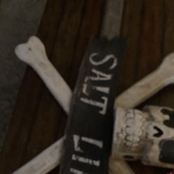 Sea life skull