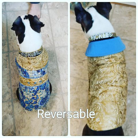 New dog coats reversible
