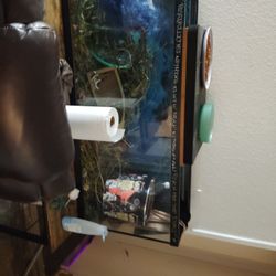 Fish Tank