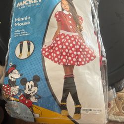 Minnie Mouse Child 12-14