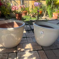 Pots for Plants