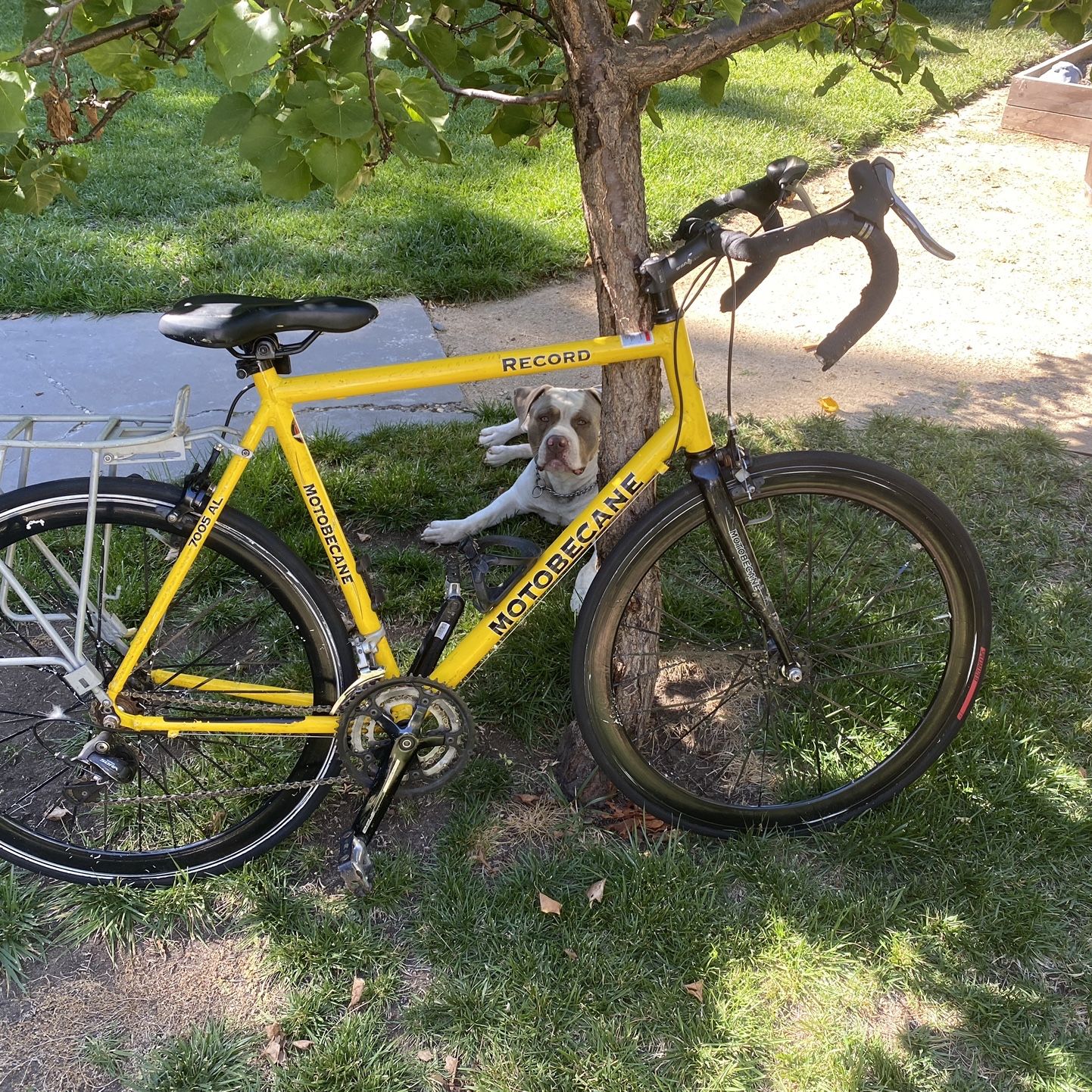 Motobecane record 7005 al sale