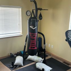 Everlast Heavy Bag & Speed Bag Stand – Great Condition + Sandbags
