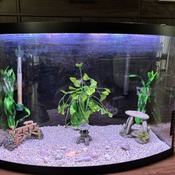 35 Gallons Aquarium Starter Kit