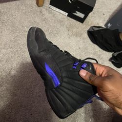 Purple Matalics Jordan Retro 12s 