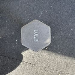 10lb Dumbbells