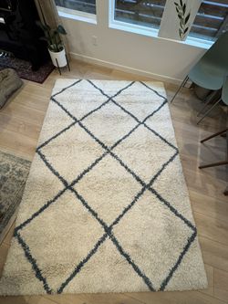 Shag Rug