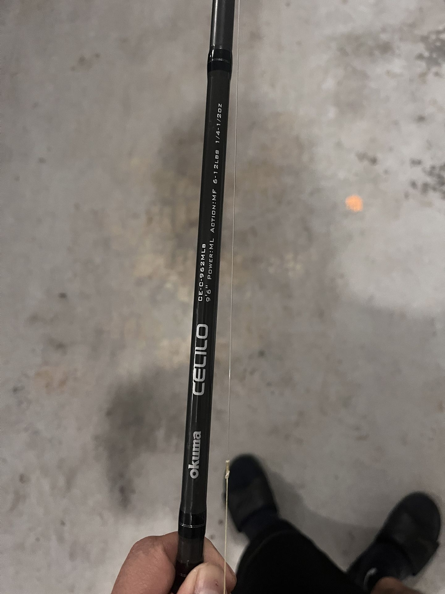 Salmon/steelhead Set Up