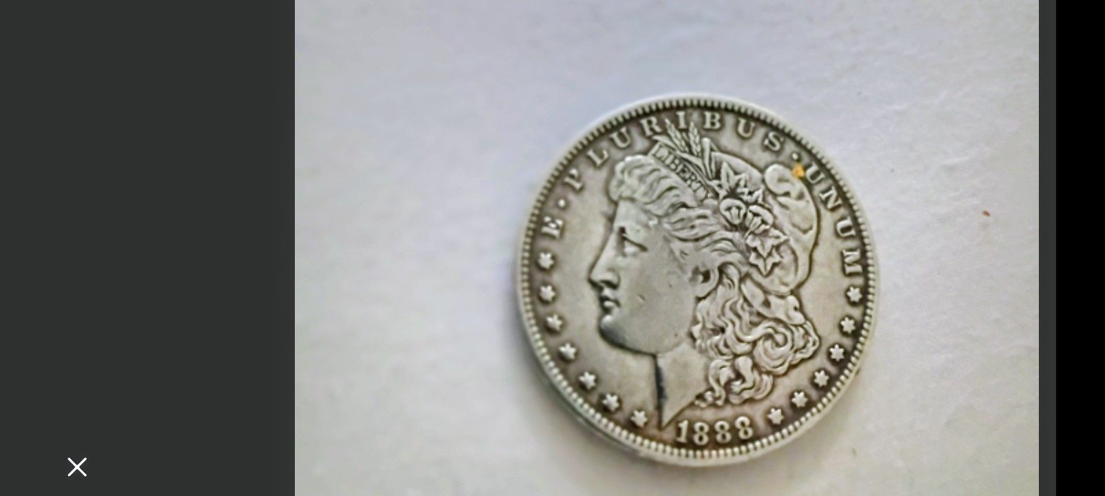 Morgan Silver Dollar 