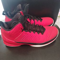 Size 12 Air Jordan Melo's 