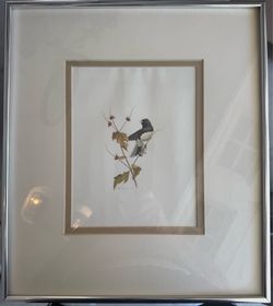 14” x 16” David Plank Signed Framed Colored Drawing