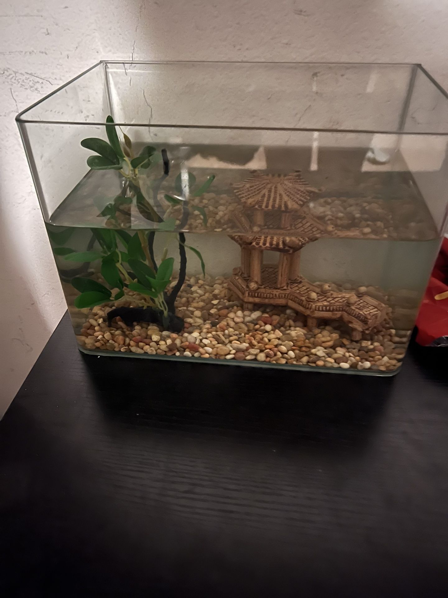 Fish Tank