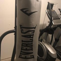 Everlast Punching Bag with Stand 