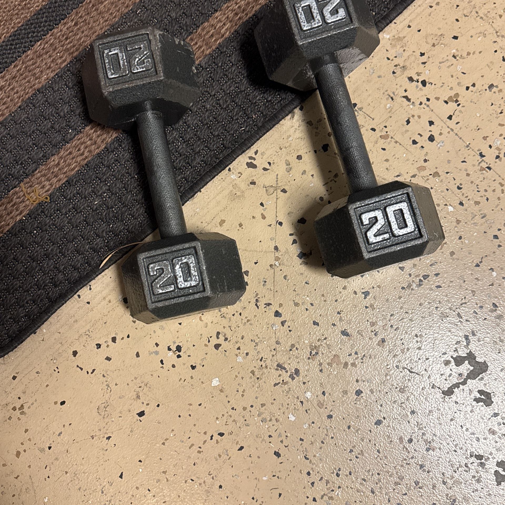 20lb Dumbbells