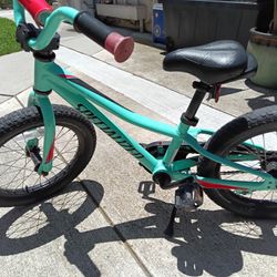 Kids Bike
