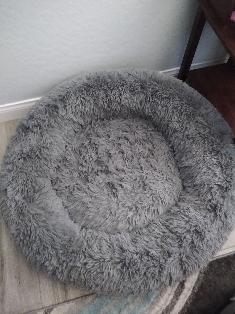 Dog (4) Bundle Medium