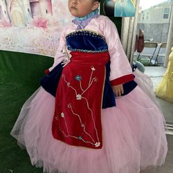 Princess Mulan Toddler Dress.