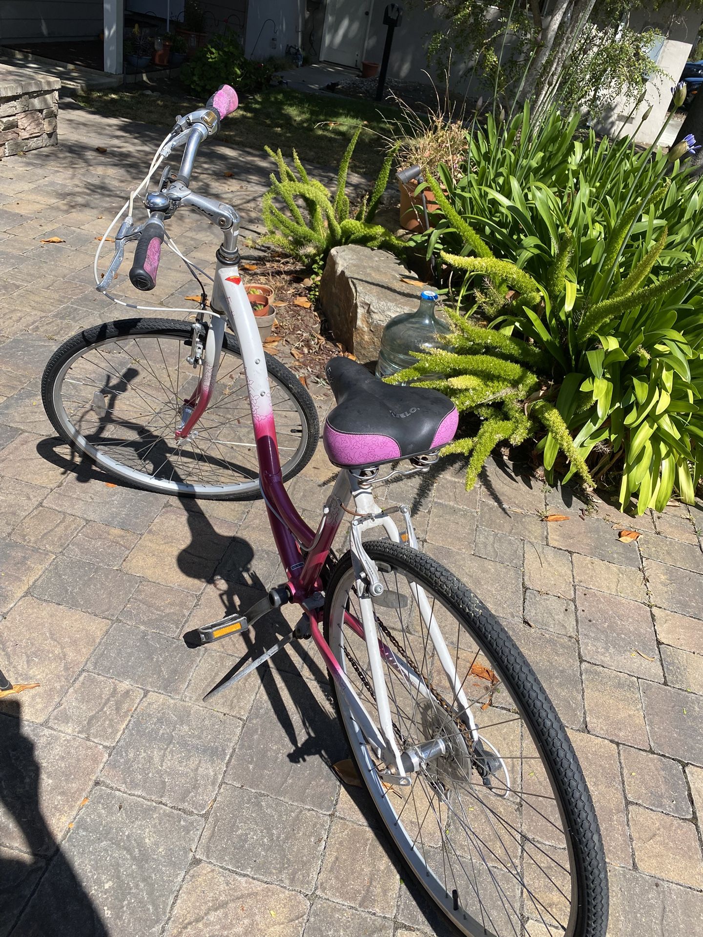 Girls Bike 19 Inch