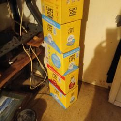 Cat Litter 