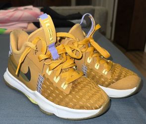 Lebron witness v  13c boys Nike shoes