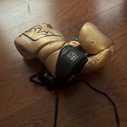 Rival RS1