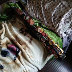 Pool Que Case Minus The Patches