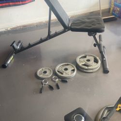 Weight Bench, Bar, Weights And Clips
