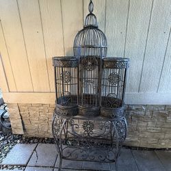 Bird Cage 