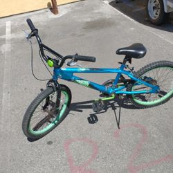 20 Inch Bicycle