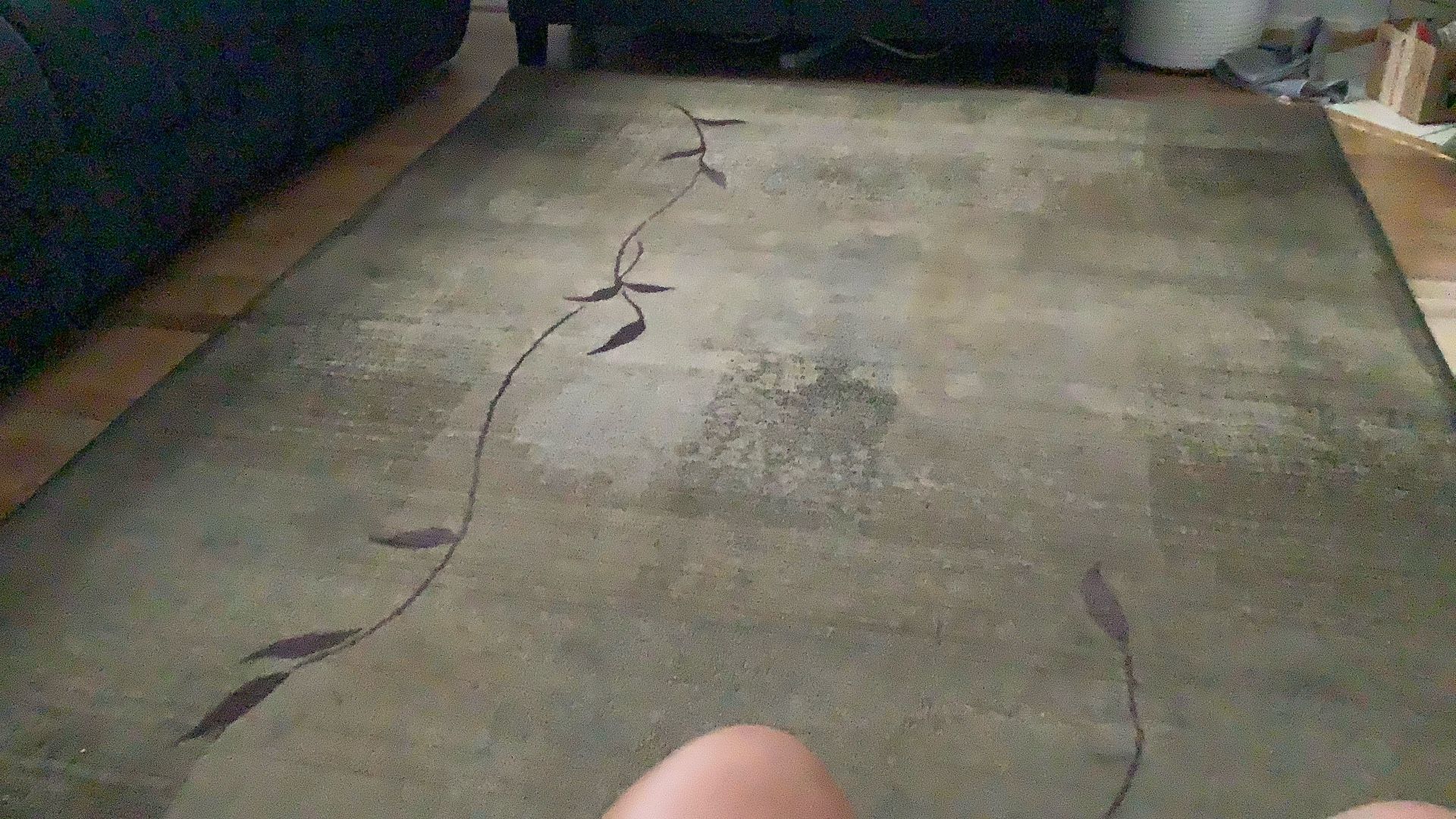 Area Rug Free